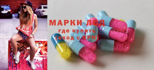 a pvp Аркадак