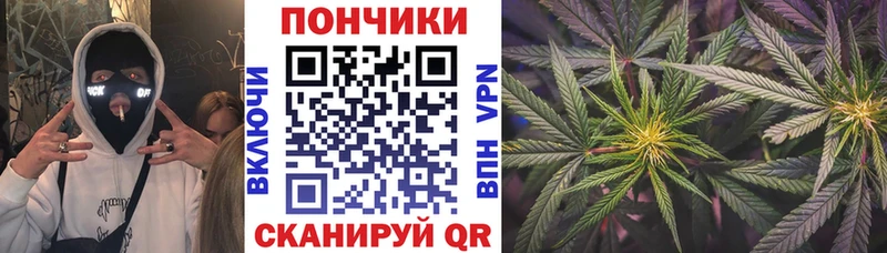Купить закладки  Старая Купавна  Марихуана гибрид 